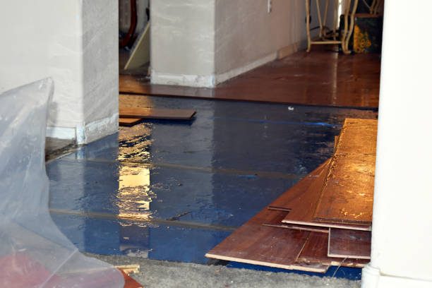 Professional Sewage Cleanup technician working in Harmony, RI